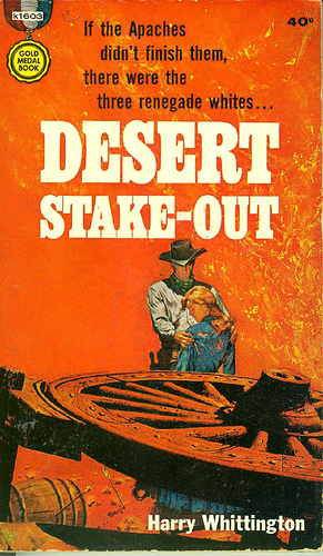 Desert Stake-Out by Harry Whittington